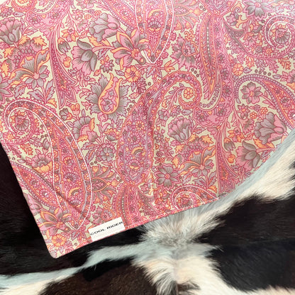 Pink on Mint Paisley Cooling Bandana