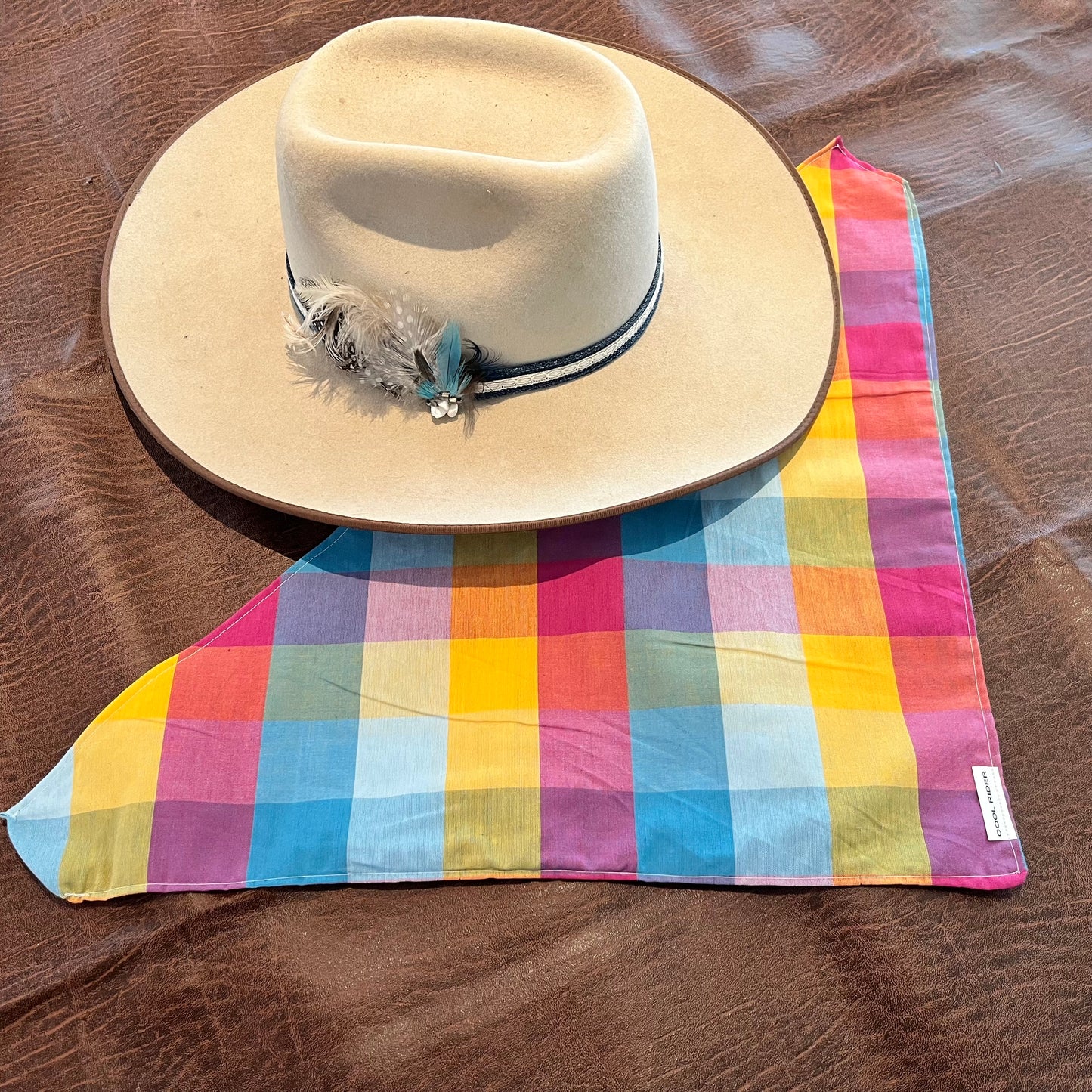 Check This Out Cooling Bandana