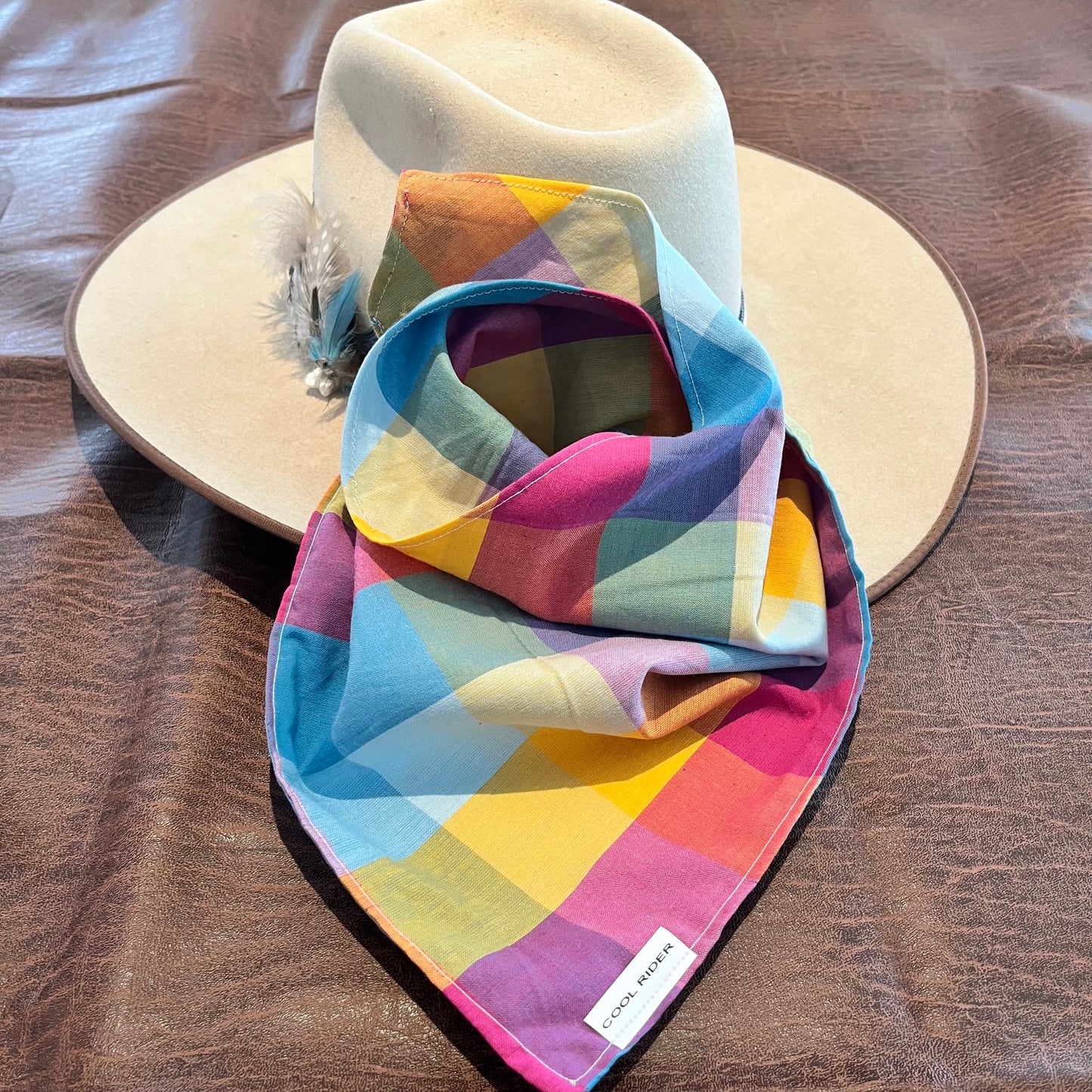 Check This Out Cooling Bandana