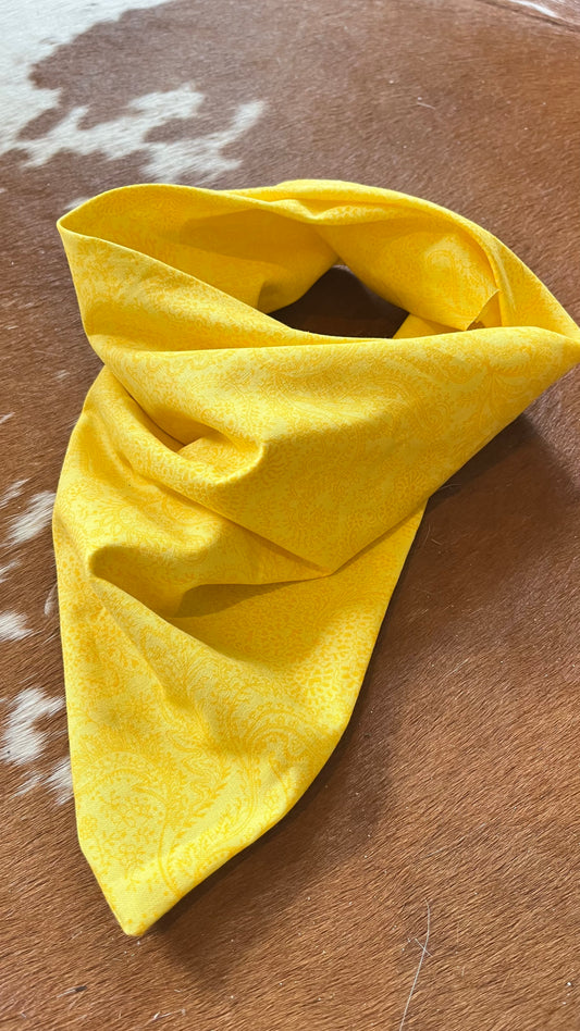 Sunshine Paisley Cooling Bandana